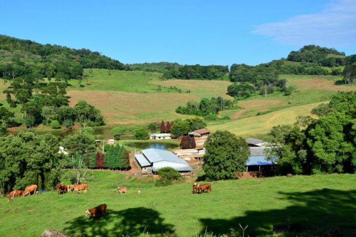 Área rural de Santa Catarina com lavouras