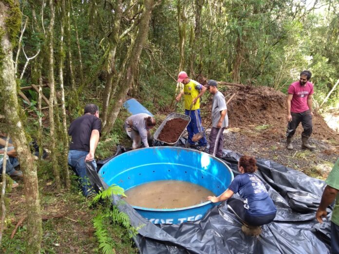Área de cultivo em propriedade rural de Santa Catarina, com agricultura familiar